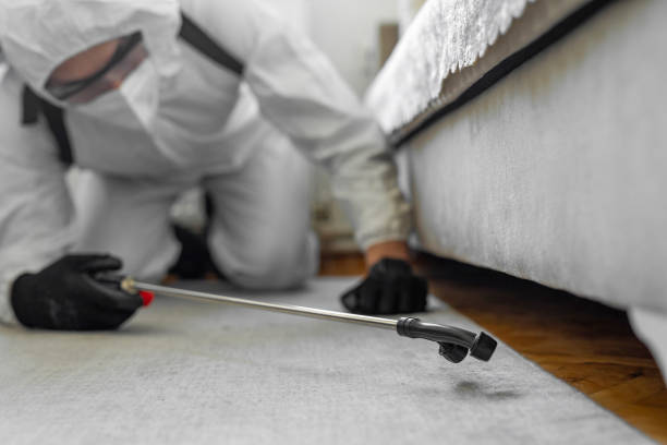 Professional Bed Bug Control technician working in North Riverside, IL