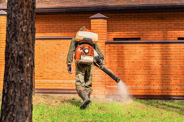 Trusted Emergency Pest Control service in North Riverside, IL - Nex Pest Control